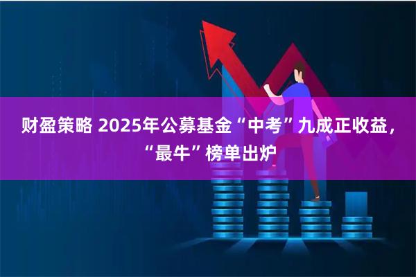 财盈策略 2025年公募基金“中考”九成正收益，“最牛”榜单出炉