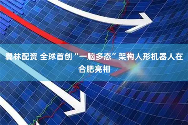 翼林配资 全球首创“一脑多态”架构人形机器人在合肥亮相