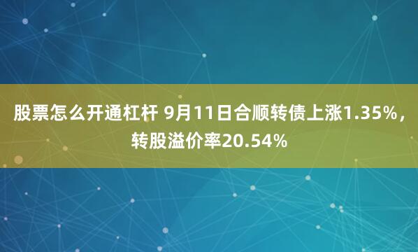 股票怎么开通杠杆 9月11日合顺转债上涨1.35%，转股溢价率20.54%