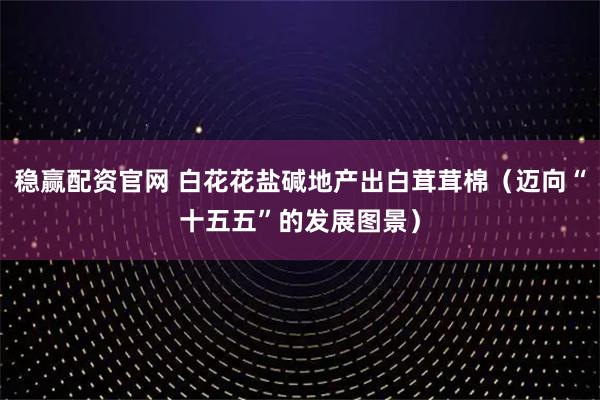 稳赢配资官网 白花花盐碱地产出白茸茸棉（迈向“十五五”的发展图景）