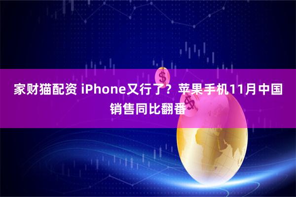 家财猫配资 iPhone又行了？苹果手机11月中国销售同比翻番
