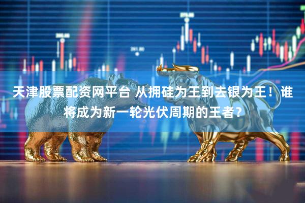 天津股票配资网平台 从拥硅为王到去银为王！谁将成为新一轮光伏周期的王者？
