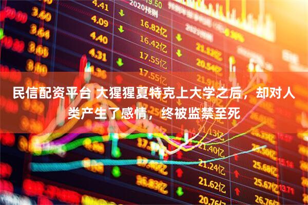 民信配资平台 大猩猩夏特克上大学之后，却对人类产生了感情，终被监禁至死