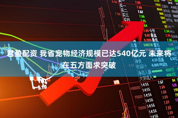 君盈配资 我省宠物经济规模已达540亿元 未来将在五方面求突破