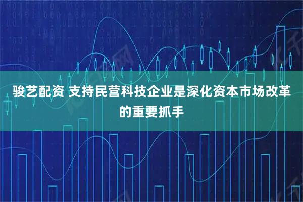 骏艺配资 支持民营科技企业是深化资本市场改革的重要抓手