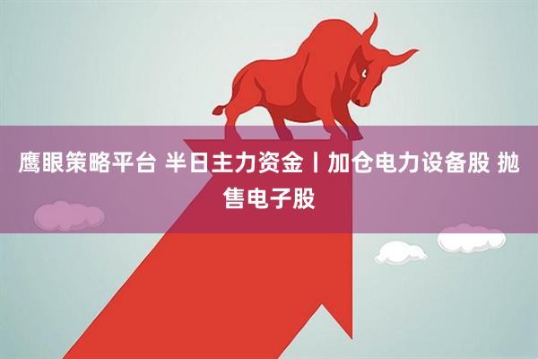 鹰眼策略平台 半日主力资金丨加仓电力设备股 抛售电子股